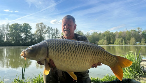 A carp from Jonchery 7, Apr 2025