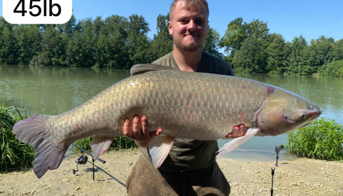 A fish from Jonchery 7, Sep 2024