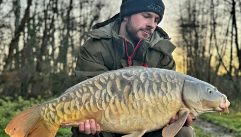 A carp from Jonchery 7, Dec 2024
