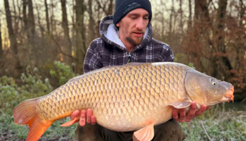 A carp from Jonchery 7, Dec 2024