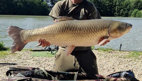 A grass carp from Jonchery 7, Jul 2023