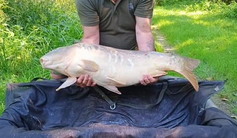 A fish from Jonchery 7, Dave P with mirror, Sep 2024