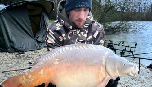A carp from Jonchery 7, Dec 2024