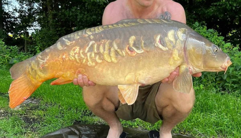A carp from Jonchery 7, Aug 2023