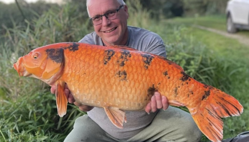 A fish from Jonchery 7, Sep 2023
