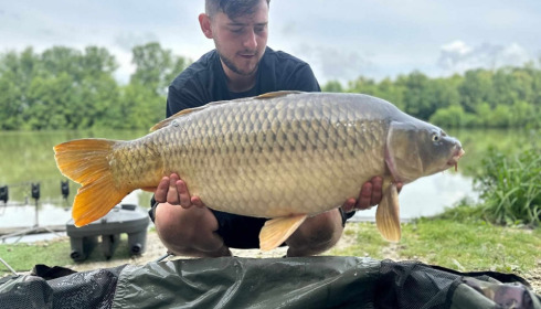 A carp from Jonchery 7, Jul 2023