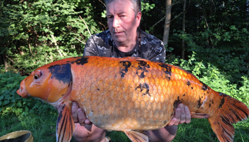 A 20 lb 4 oz fish from Jonchery 7, Common koi carp, Aug 2024