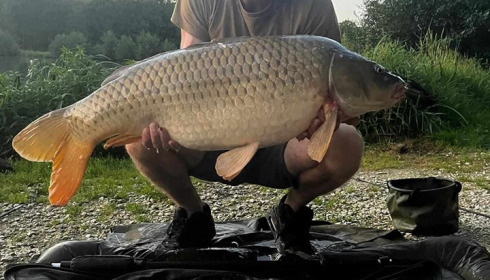 A carp from Jonchery 7, Aug 2023
