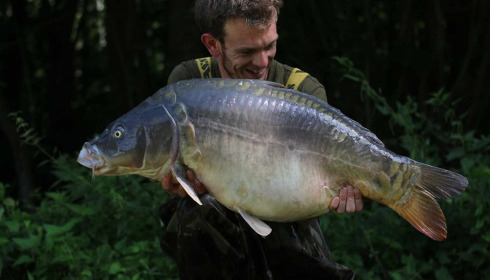 A carp from Jonchery 7, Aug 2023