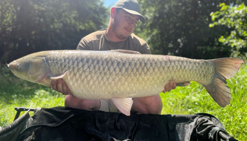 A grass carp from Jonchery 7, Jul 2023