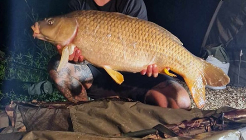 A carp from Jonchery 7, Jul 2023