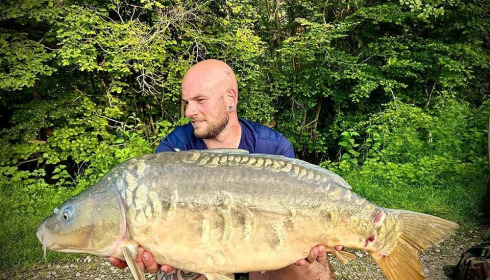 A carp from Jonchery 7, May 2024