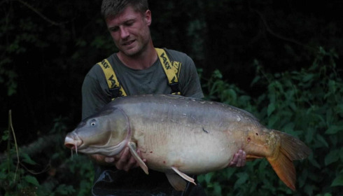 A carp from Jonchery 7, Aug 2023