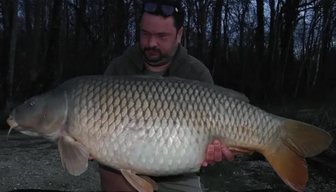 A carp from Jonchery 8, Mar 2024