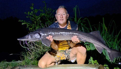 A fish from Jonchery 8, Brown sturgeon, Jul 2024