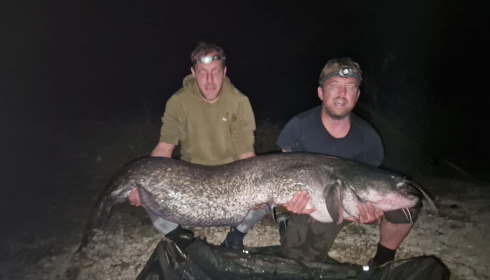 A catfish from Jonchery 8, Cat fish 120, Sep 2023
