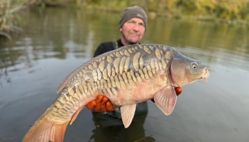 A carp from Jonchery 8, NEW STOCK, Nov 2024