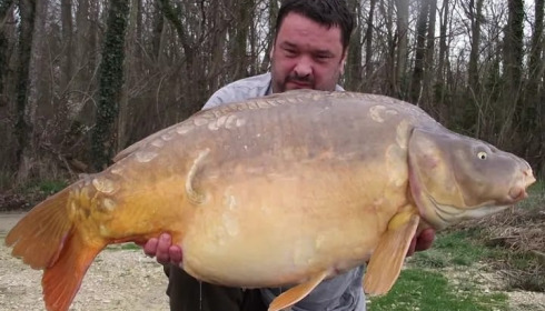 A carp from Jonchery 8, Mar 2024