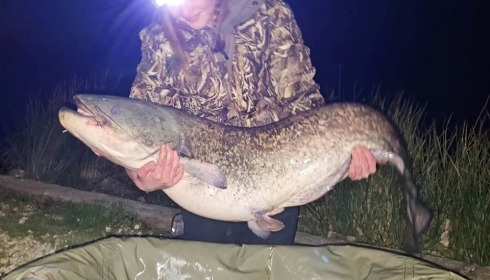 A catfish from Jonchery 8, Apr 2023