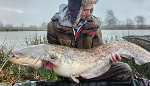A catfish from Jonchery 8, Apr 2023