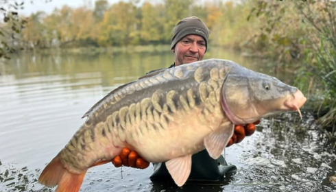 A carp from Jonchery 8, NEW STOCK, Nov 2024