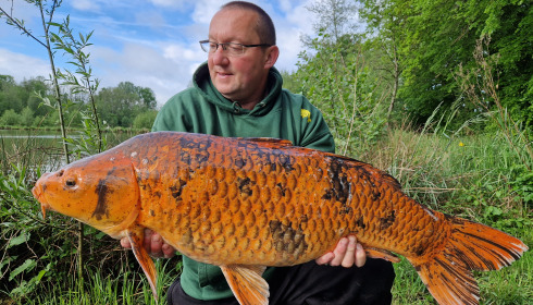 A 31 lb 4 oz carp from Jonchery 8, Dave Pillman, May 2024