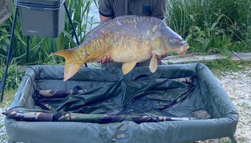 A carp from Jonchery 8, May 2023