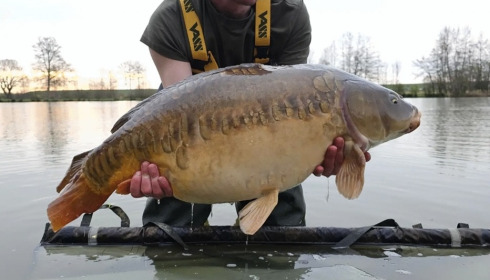 A carp from Jonchery 8, Apr 2023