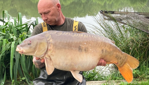 A carp from Jonchery 8, Jun 2024