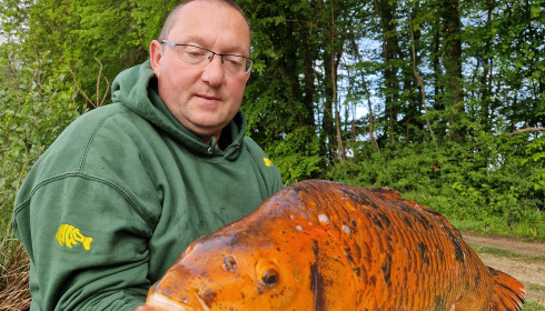 A 31 lb 4 oz carp from Jonchery 8, Dave Pillman, May 2024