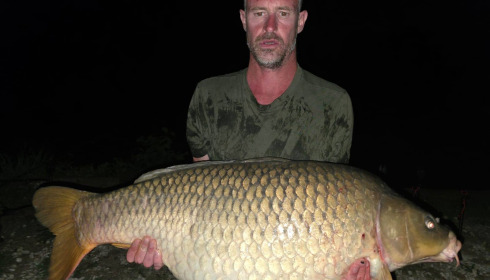 A carp from Jonchery, Jul 2025