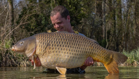 A carp from Jonchery, Mar 2024