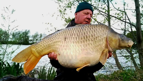 A carp from Jonchery, Apr 2024