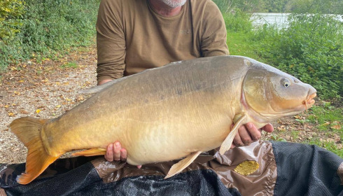A carp from Jonchery, Sep 2025