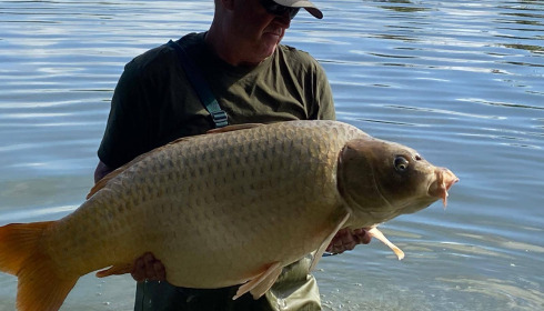 A carp from Jonchery, Sep 2025