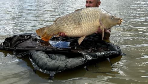 A carp from Jonchery, May 2024