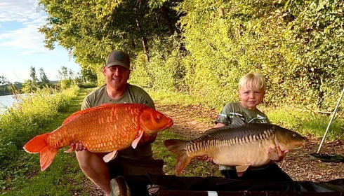 A carp from Jonchery, Aug 2025