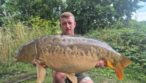 A carp from Jonchery, Jul 2025