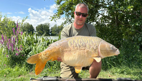 A carp from Jonchery, Jul 2025