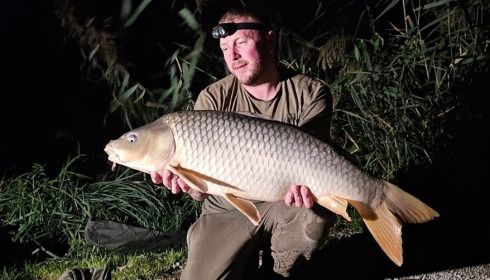 A carp from Jonchery, Oct 2023