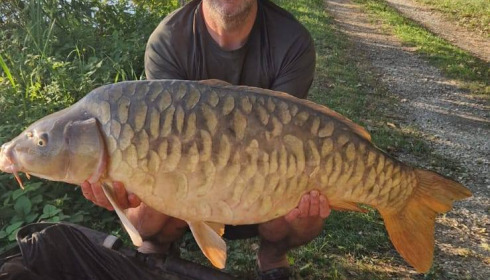 A carp from Jonchery, Aug 2025
