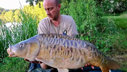 A carp from Jonchery, Jun 2024