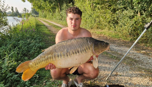 A carp from Jonchery, Aug 2025