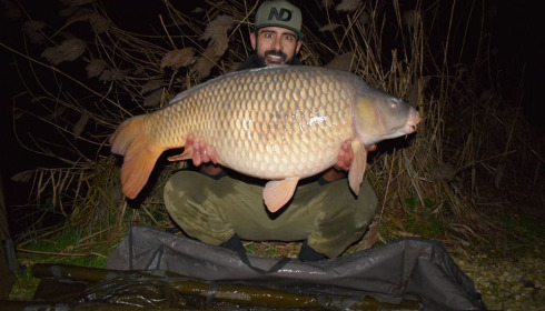 A carp from Jonchery, Jan 2025