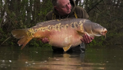 A carp from Jonchery, Mar 2024