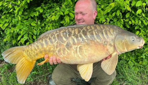 A carp from Jonchery, Apr 2024