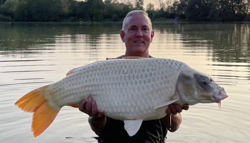 A 35 lb fish from Jonchery, Ghost koi, Sep 2023
