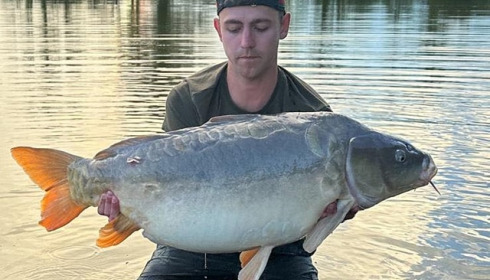 A carp from Jonchery, May 2024