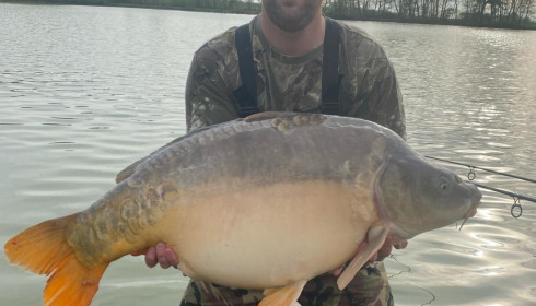 A fish from Jonchery, Apr 2025