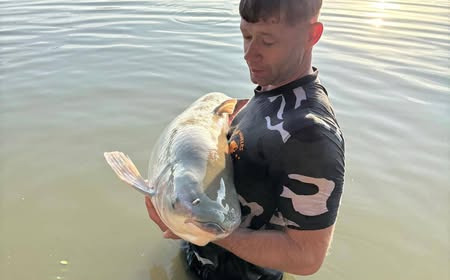 A carp from Jonchery, Jun 2025